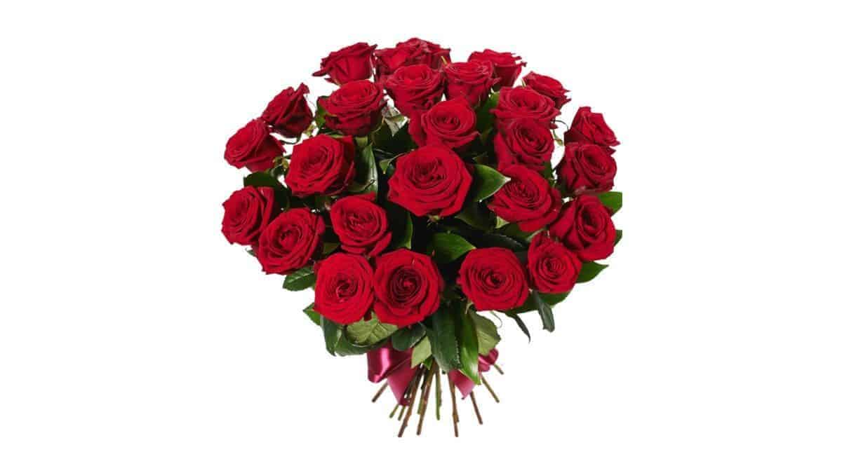 Buy Red roses 25 pc - Kannike Epood